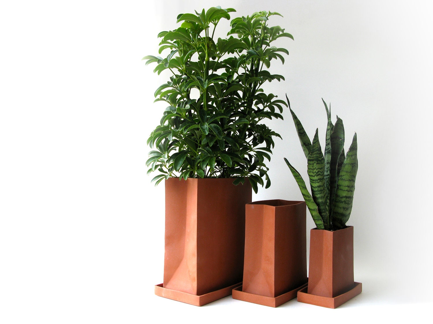 Medium Shopping Bag Planter