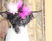 Cute black  color  mini  hat with black ,  pink  and white color   feather and   flowers for dog or cat