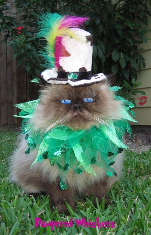 Shamrock Shuffle Mad Hatter  pet hat and collar