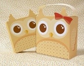 Cute Owl brown Giftbox Printable PDF