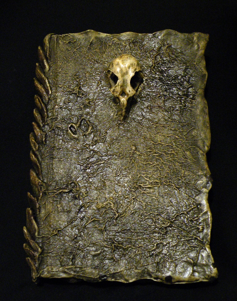 Small Hawk Skull sketchbook