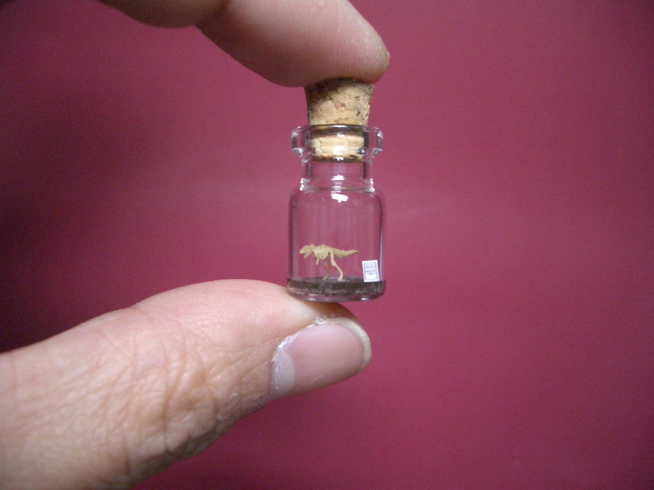 Tyrannosaurus / T-Rex in a tiny bottle