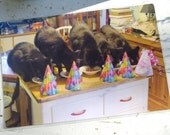 The Birthday Party Laminated Placemat