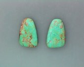 Turquoise Matched Pair