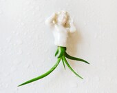 Mini Magnet Mermaid Antique German Porcelain Doll Air Plant Garden
