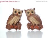 ON SALE owl, wall, hanging, vintage, decor, pair, cute, wise