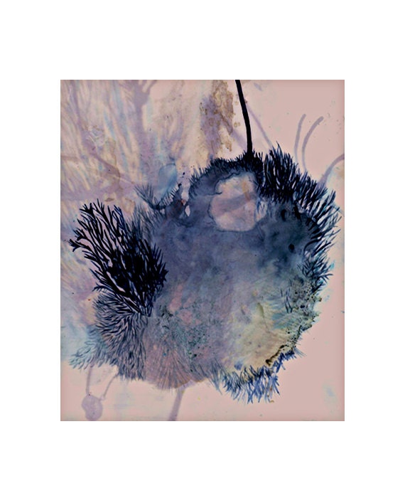 Blue Coral Print