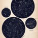 Astronomy Star Chart Poster for Adults - 18x24 Vintage Inspired Retro Erotic Art Home Decoration -  Mature