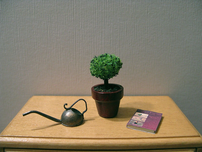 Dollhouse miniature topiary