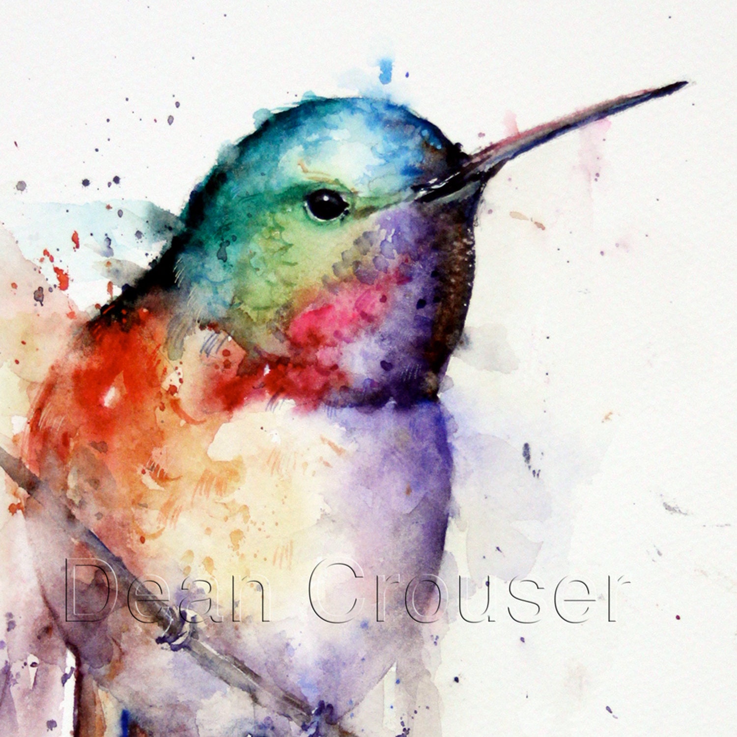 HUMMINGBIRD Watercolor Print by Dean Crouser