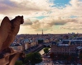16x20 Peering Over Paris Photo by Kate Sexson