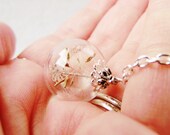 Real Dandelion Seed Glass Orb Necklace In Silver Small Orb
