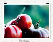 still life photography, tomatoes