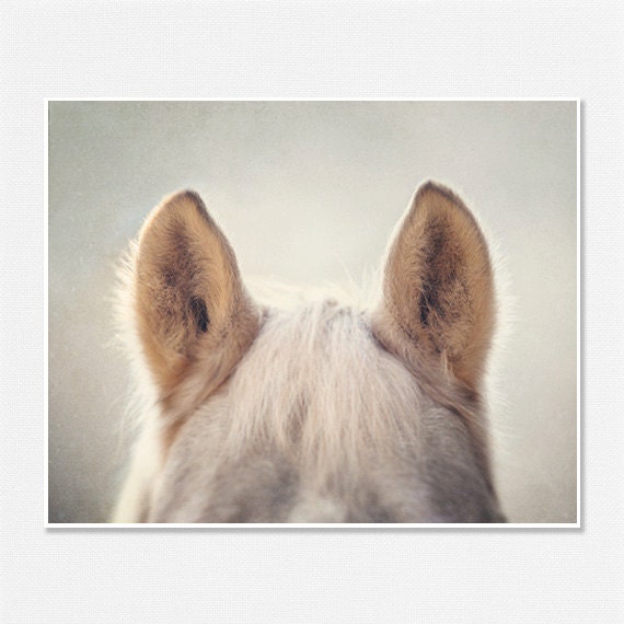 Horse Art, Horse Photography, Whimsical Horse Photo, Animal Photography, Nursery Decor, Fuzzy Horse Ears 8x10, Cream, Beige, Tan, Palomino. - LisaRussoFineArt