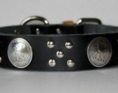 American Collar