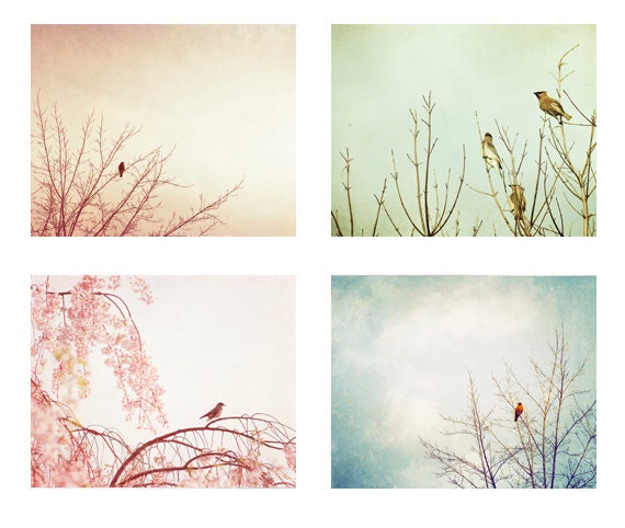 Bird Photography Set - Four 8x10, 5x7 Photographs - nursery art prints bird tree pastel pink pale blue green teal white baby boy girl photos