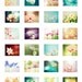 Flower Photography - aqua blue pink spring wall art photos pastel decor pale fine art photography pale white teal flower - 8x10 Photograph
