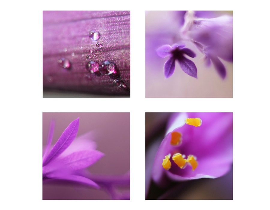 Lilac flowers set of 4 prints 5x5" Macro photography Purple violet Romantic wall decor For women