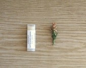 White Chocolate Coconut Lip Balm - Cocoa Butter, Sweet Almond Oil