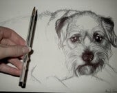 Your PET A custom drawing created from your picture. Dog Cat... any animal considered Drawing Art Portrait Animal