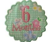 Monthly Onesie Applique Machine Embroidery Designs - Newborn Through 12 Months - 2 Sizes Each