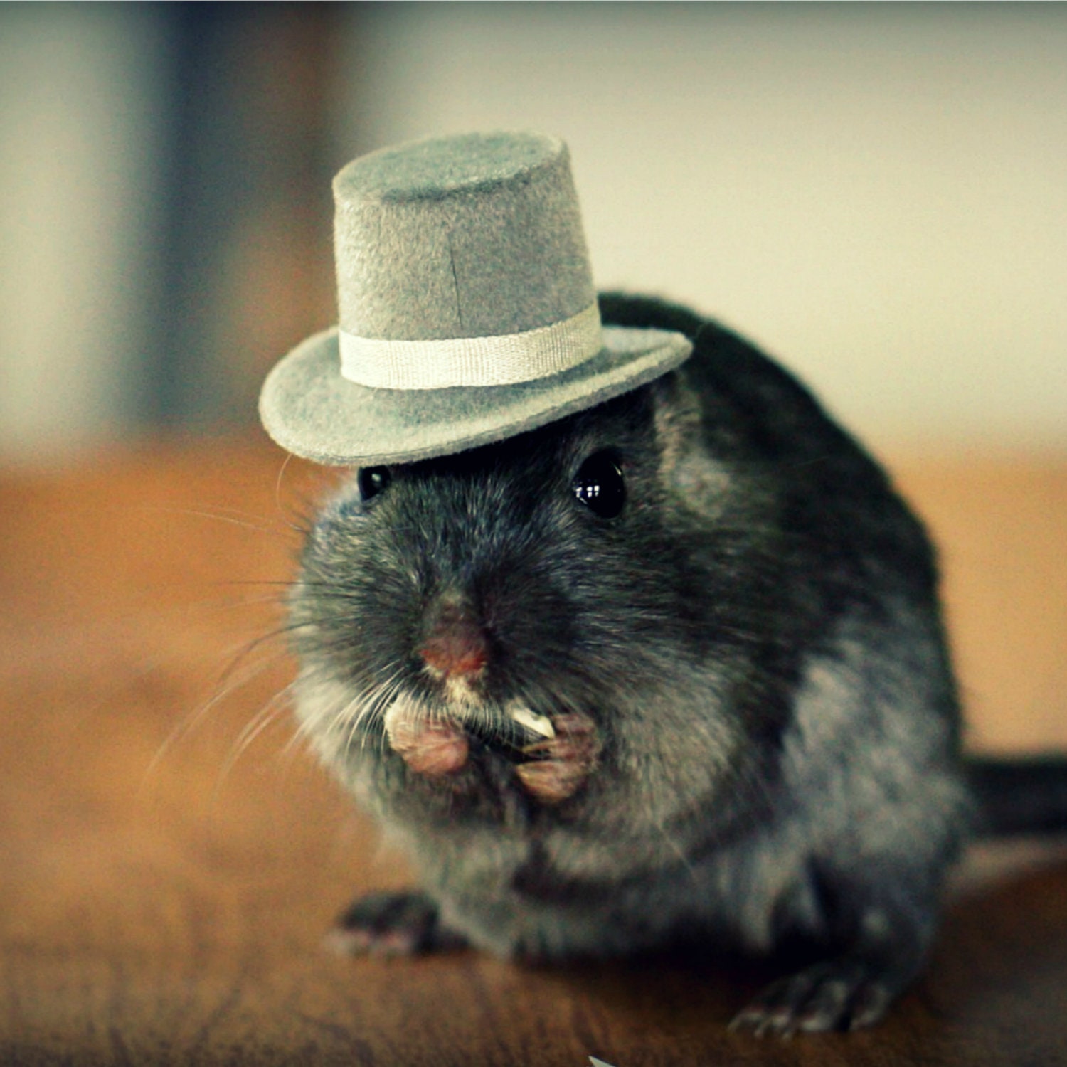 Refrigerator Magnet Rectangle Gerbil in A Gray Top Hat