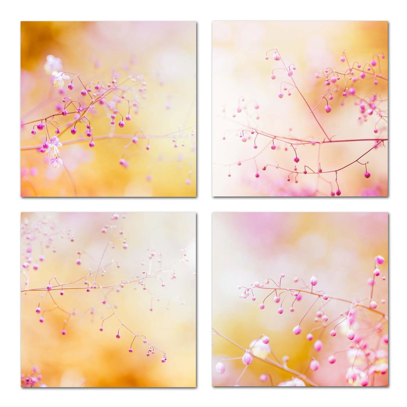 Botanical photography set flowers- 8x8 inch pastel flower photography print set pink beach fine art photography print