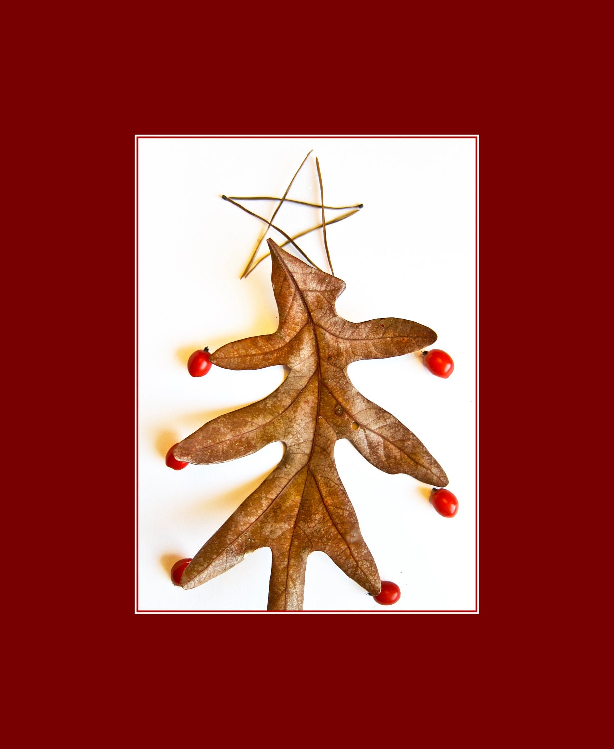 Set of 4 Holiday Cards, Oak & Pine Christmas Tree, NEW for 2012