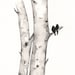 Birch Tree Love No. 1 / Love Birds / Romance / watercolor print / grey / black and white / Archival