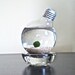 Marimo Moss Ball in a Repurposed Light Bulb / Lightbulb Aqua Terrarium