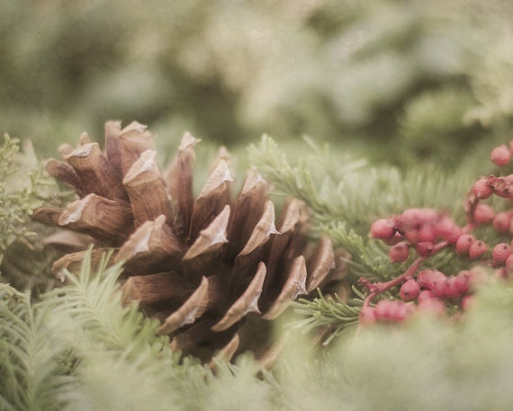 Christmas Photography 8x10, Winter Nature Home Decor, Rustic Wall Art, Brown and Green Pine Cone Picture, Holiday Wall Decor