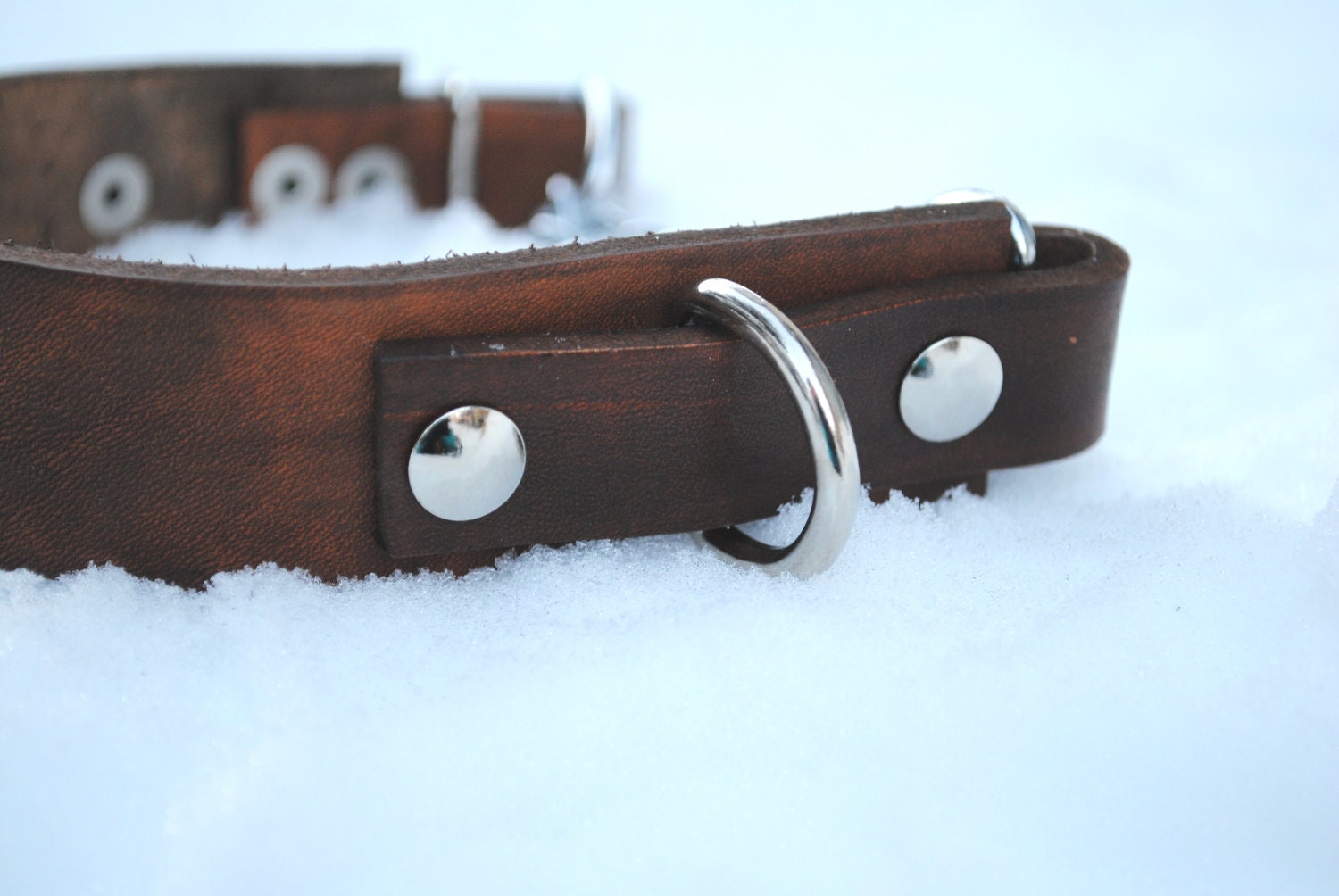SALE Adjustable Leather Martingale Dog Collar - OOAK