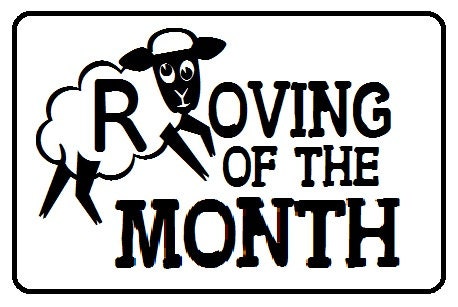 4 Oz "Roving of the Month" Hand Dyed Wool Roving Fiber for Spinning, felting, Great Gift