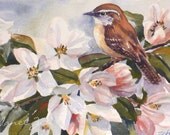 Wrens Note Cards Folded Stationery Boxed Set 6 Assorted Bird Notecards Janet Zeh