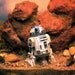 R2D2 on Tatooine - Star Wars Terrarium World