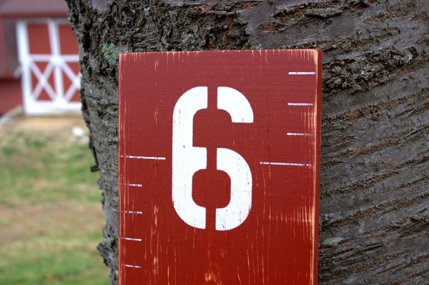 Barn Red Wooden Growth Chart for Children - Distressed