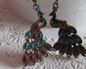 Peacock earrings