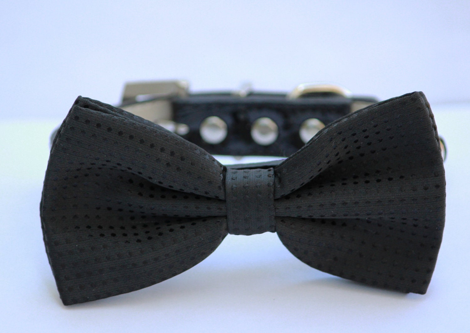 Black  Dog Bow Tie - Black Dog Bow tie with high quality leather collar, Black Dog Collar