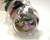 Hand Blown Glass Succulent Terrarium Hanging Terarium