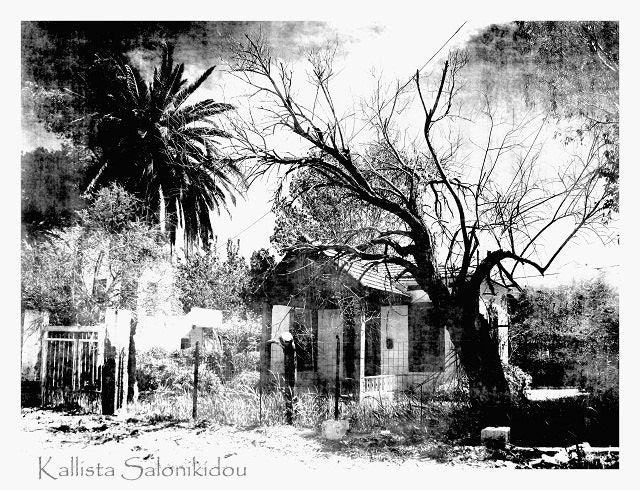 eerie black and white landscape photography