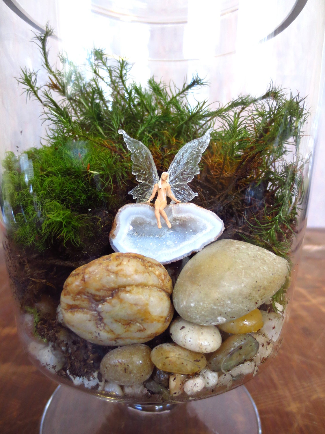 The Fae-arium...Terrarium Vibrant Moss Terrarium Indoor Garden Apartment Garden Fairy Garden Apothecary Jar Live Moss Terrarium