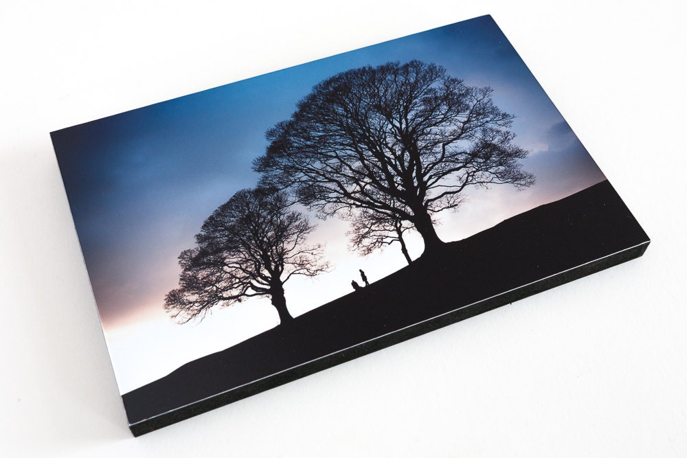 Silhouetted trees. 9" by 6"  Wooden block mounted Photograph.