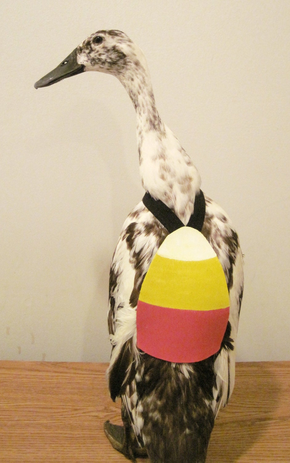 PartyFowl "Candy Corn" Costume for Pet Ducks, Chickens, & Geese