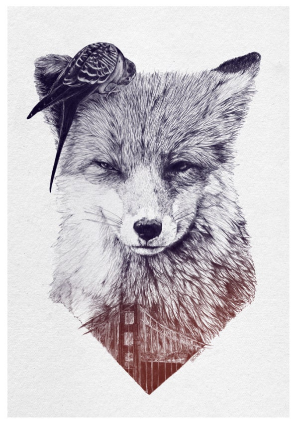 Fox wants to go to San Francisco - A4 - Print - Limited edition