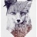 Fox wants to go to San Francisco - A4 - Print - Limited edition
