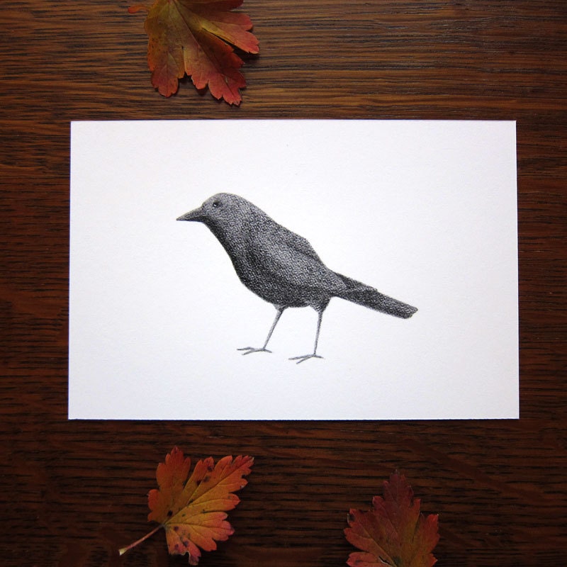 Crow art - 4x6 fine art print