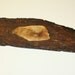 Baguette Natural Edge Black Walnut Wood Cutting Board / Rustic Buffet Serving Tray