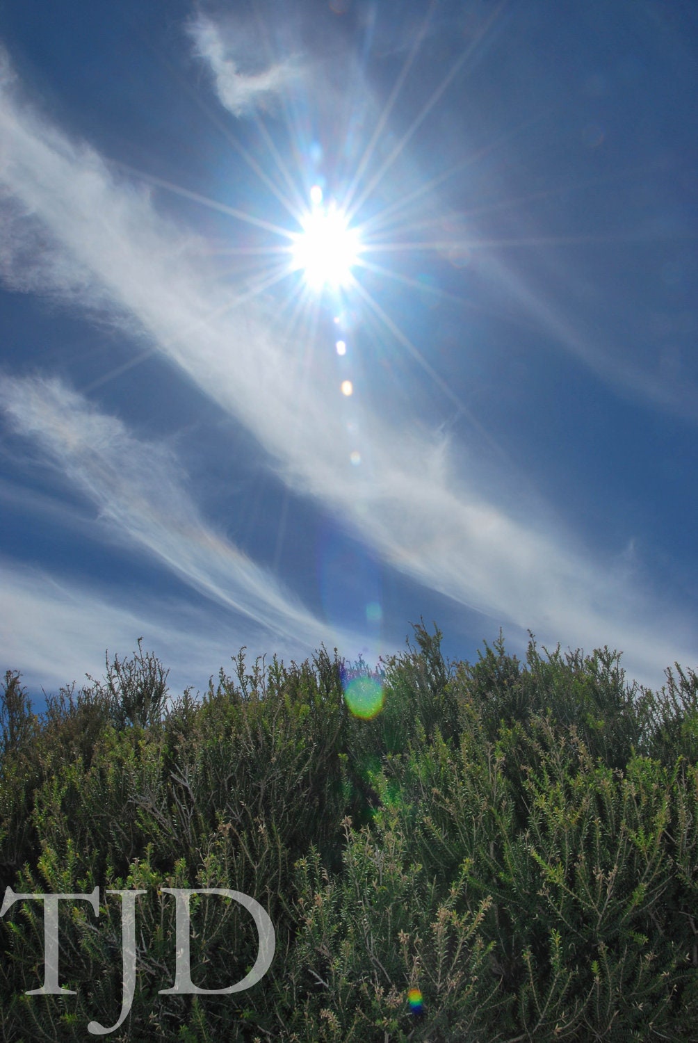 Photo print, nature photography, landscape art, sun and cloud, beach, Summer, blue, green, 8x10 gift, fine art photograph, Australia