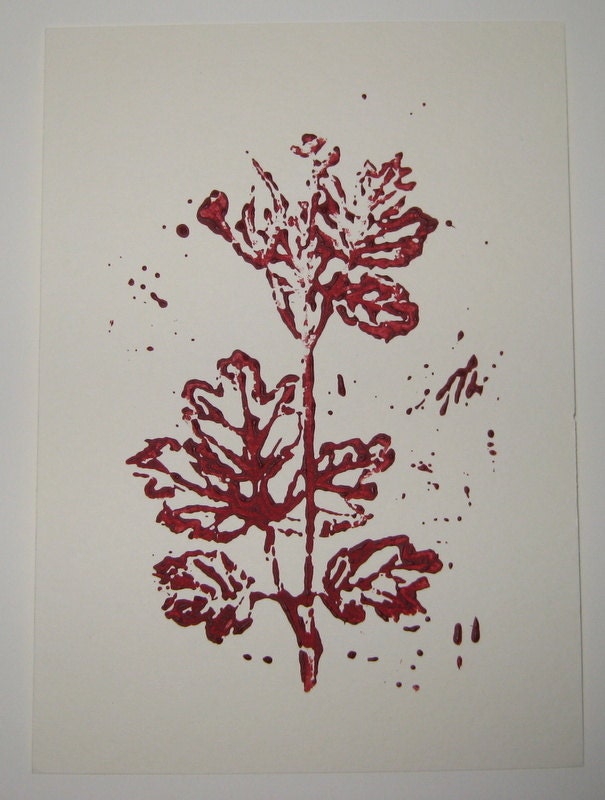 Celandine Poppy - Chelidonium Majus - hand-pulled linocut