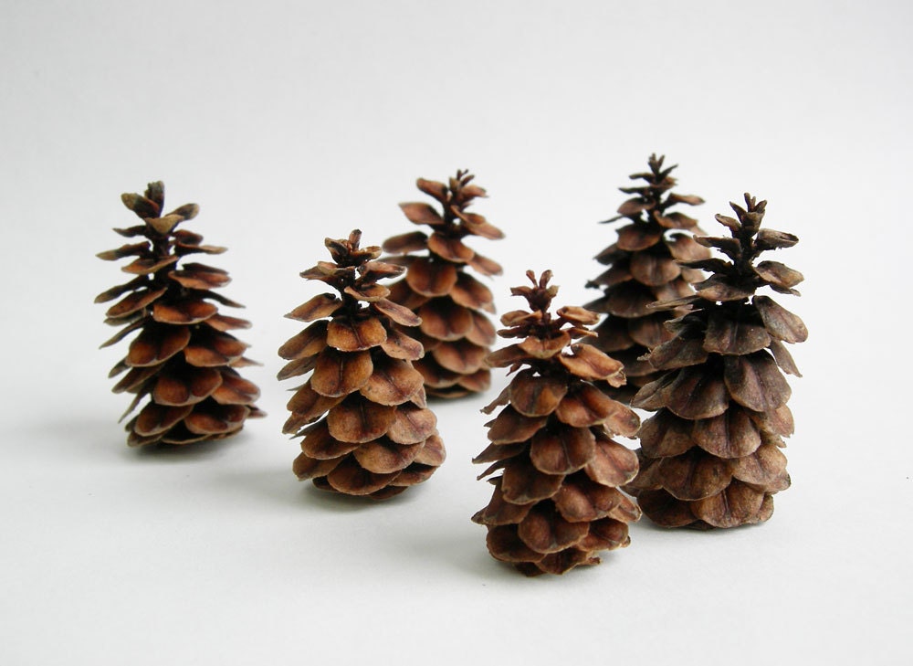 10 Red Brown MINIATURE TREES Terrarium Miniature Village Dollhouse Natural Pine Cone Décor